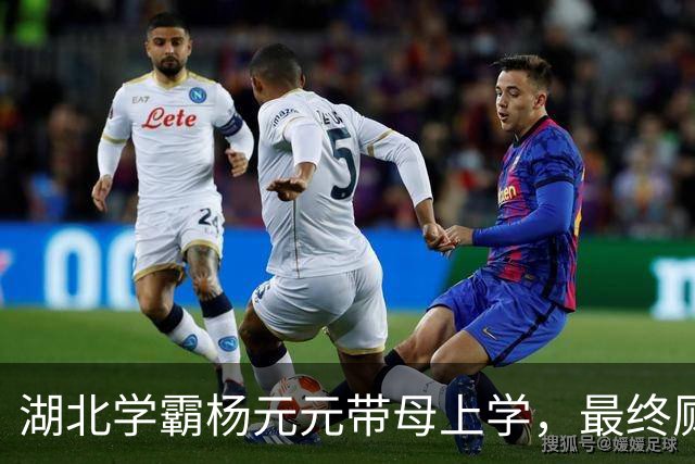 湖北学霸杨元元带母上学，最终厕所自缢身亡，活生生被母亲吸干血